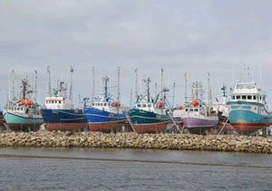 Shippagan Fishing Boats