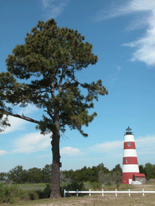 Sapelo Island Lighthouse