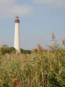 Cape May Lighthouse