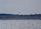 Cape Negro Island
