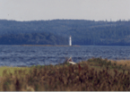 Gregory Island