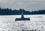 Musquodoboit Harbor Front Range