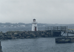 Venus Cove