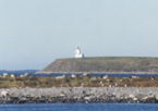 Whitehead Island